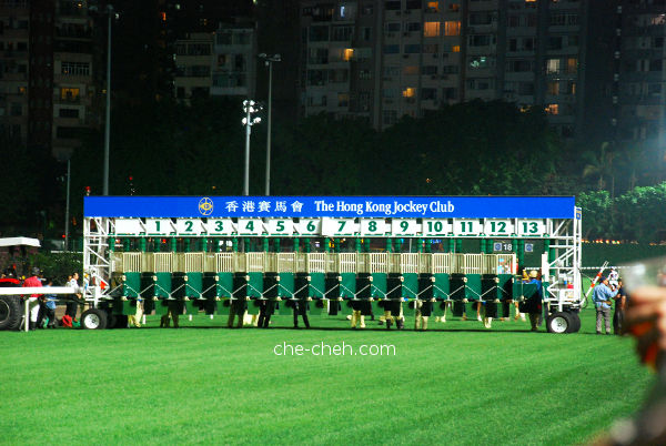 Jockeys & Horses Are Warming Up Behind The Starting Gate @ Happy Valley Racecourse, Hong Kong